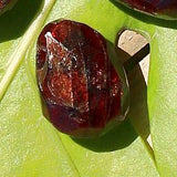 Granaat auguga kivi (fassettlihv)