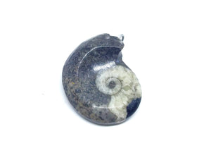 Ammoniit ripats ~ 3,3cm